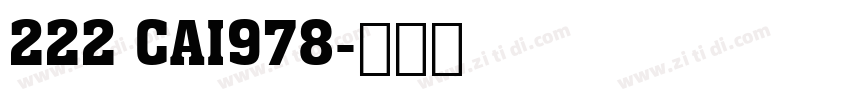 222 CAI978字体转换